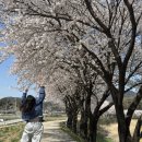 산양교 - 화천군 | 산양교