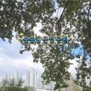 늘솔길근린공원양떼목장 이미지