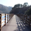 소나무(산촌마을) 이미지