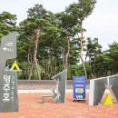 강동로5-130 이미지