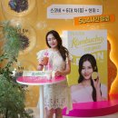 [광화문 팝업] 트와이스와 함께하는 오감 워크숍! 티젠 콤부차 랩(Lab) 방문 후기