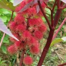 희희낙낙 이미지