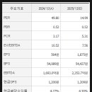 국민지주주식회사