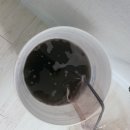 일산에어컨청소 LG 벽걸이 완전분해 세척 후기는??