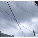 국화여인숙 티스토리