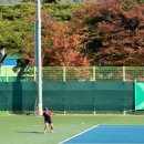 호박스포츠 | 테니스선수권 대회 관람 후기라고 쓰고 김천여행이라 읽는다(김천종합스포츠타운, 김천맛집 호박해물...