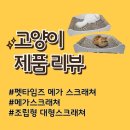 펫67라5267 | 고양이 용품 : 엄청 큰 펫타임즈 메가 스크래쳐 후기