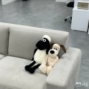 갤러리아메디타워 | [대전 둔산동 피부관리] 대전 기기관리 전문샵 데자뷰메디스킨 대전점에서 수분초음파 받고 온 후기