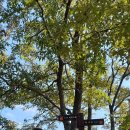 동호유적근린공원 이미지