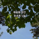 노나먹기