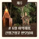 주식회사 상상제주여행 | [제주] 6월 제주여행 이색체험✨, 산양큰엉곶 반딪불이 체험 솔직 후기