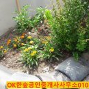 용전다방