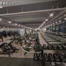맥스아웃 휘트니스 정발산점 이미지