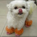 노룬산동물병원 이미지