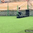 힐링독아카데미 이미지