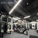 피티메이트