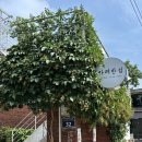 한섬떡케익 | [ 수원 행궁동 ] 감성 가득한 디저트 카페 카페 한섬 바스크 치즈케이크 맛집 후기