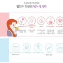 빨강머리 앤 헤어