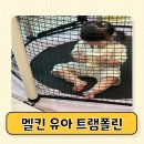 라니키즈스포츠 | 2중 소음차단으로 층간소음 걱정 없는 유아 트램폴린