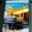 엘사우나 이미지