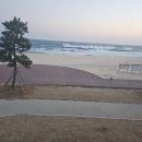 망상해변내 5호 | 뷰 맛집 망상오토캠핑리조트 든바다 내돈내산