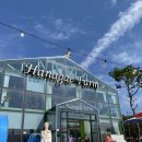 서해2농장 이미지