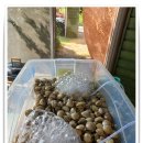 딱정벌레펜션 이미지