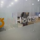 남양농협뒤 이미지
