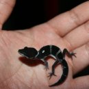 브리딩 팜 이미지