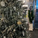 올리앤(울진점) 이미지