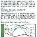 오늘자 일본 니케이 신문에서 순조롭게 럽다이브 중인 한국 출산율 이미지