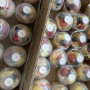 파주청과(과일) 이미지