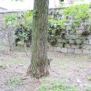 삼번가돈가스 이미지