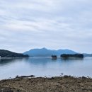 상주은모래비치캠핑장 이미지