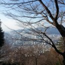 대연5동 체육공원 이미지