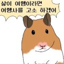 고성생선찜