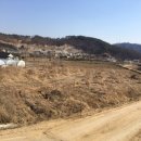 보승개발 이미지