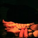 아름다운 사랑이 머무는곳 Daum카페