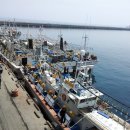 주문진항 이미지