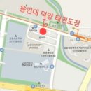 삼송 덕양태권도장 이미지