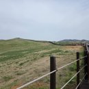 소나무 한우 목장 이미지