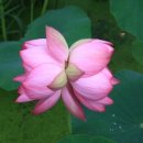 교산농장 이미지