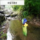 충북 제천 계곡펜션 의림지펜션 내돈내산 후기
