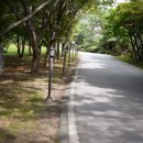 고향산장 이미지