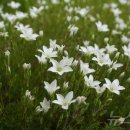 국립DMZ자생식물원방문자센터 이미지