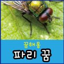 파리 - 동구 | 파리
