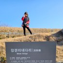 미내다리 이미지