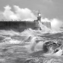 태풍 바이루 대비 하기 이미지