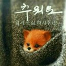 익*이* 이미지