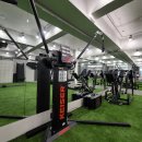 엠에스피지컬 이미지